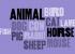 Clip 11.1a: Animals